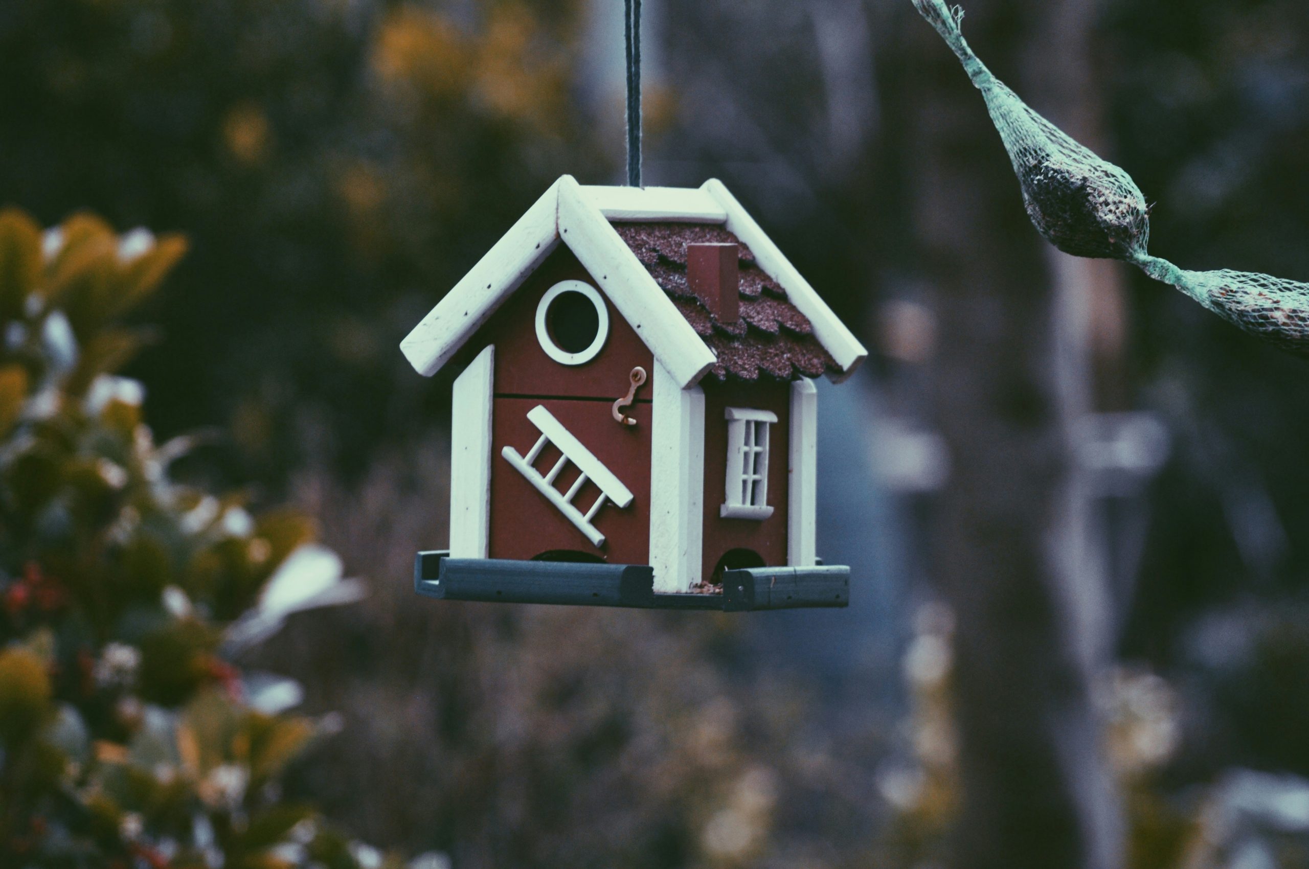 What Are The Affordability Rules For Buy To Let?