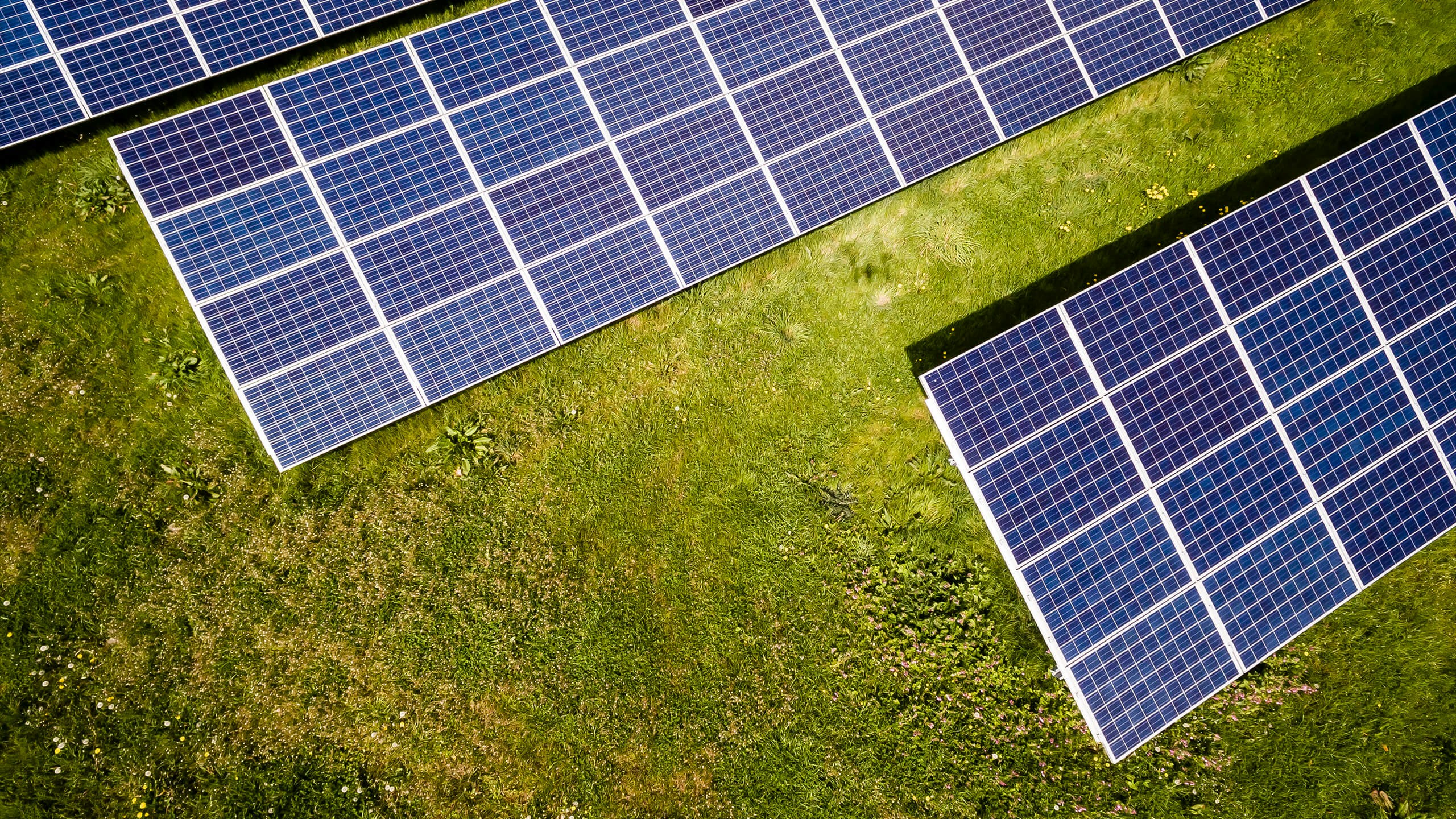 Boost Property Value with Energy Efficiency
