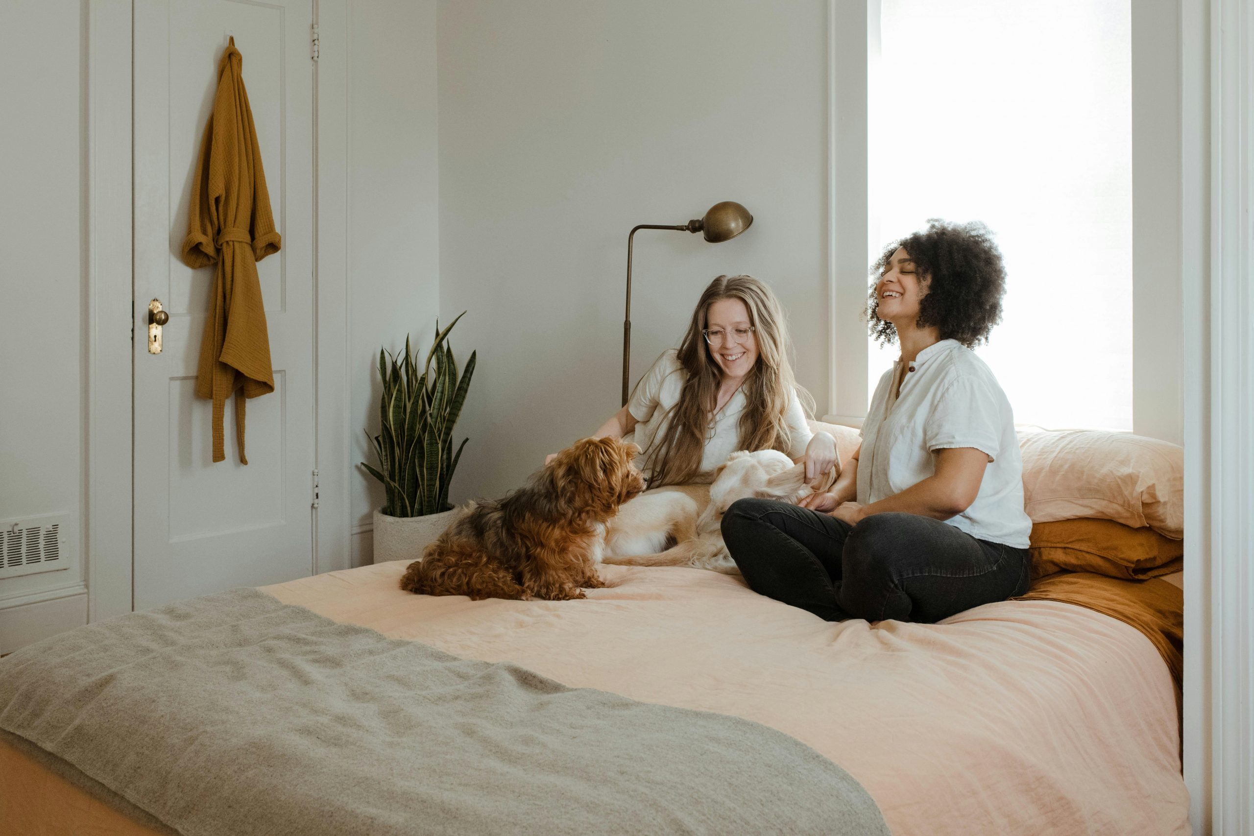 Pets in Rentals: New Guidance Issued for Private Tenants