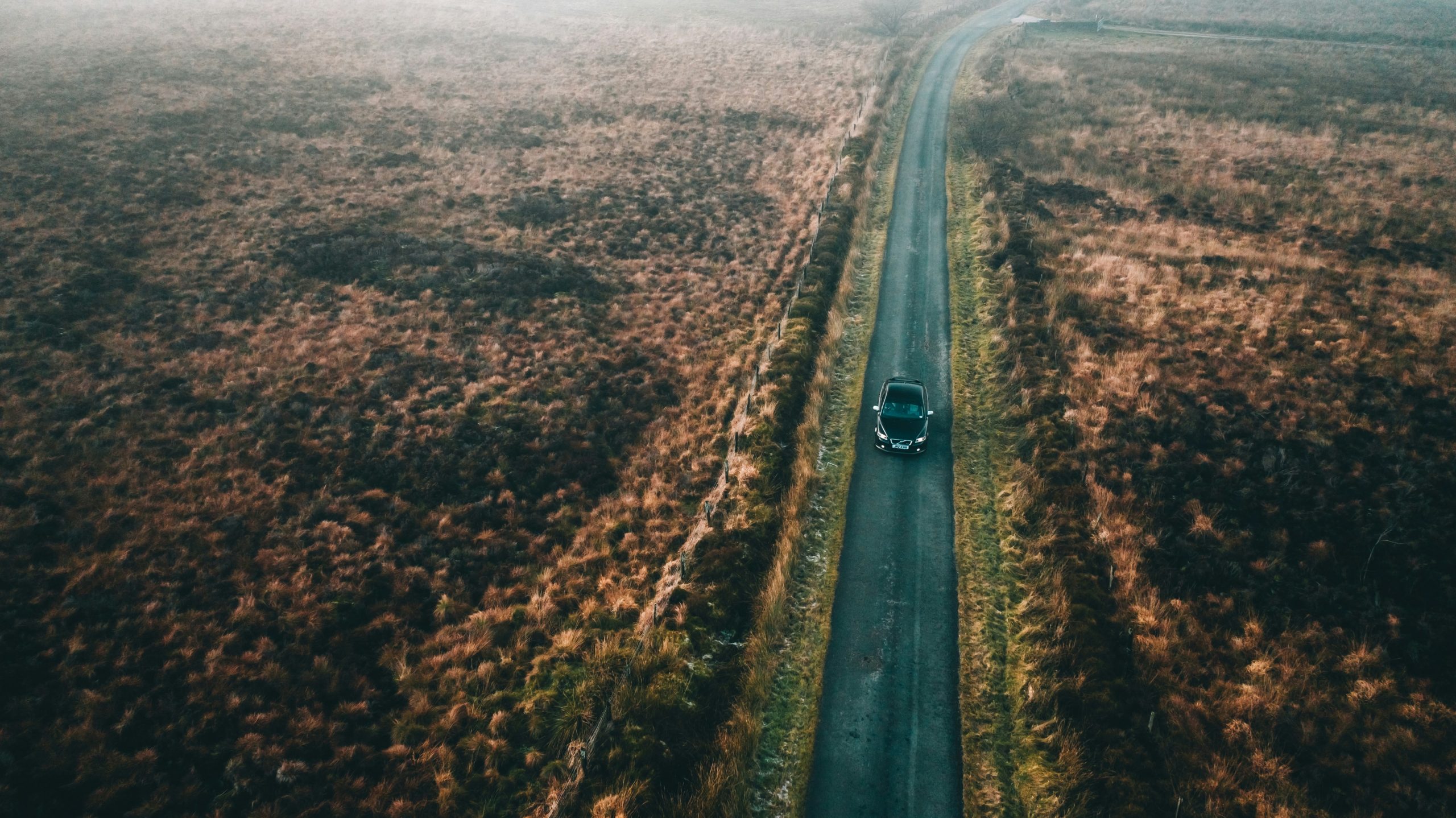 House Prices Set To Rise 1.5% By End Of 2024