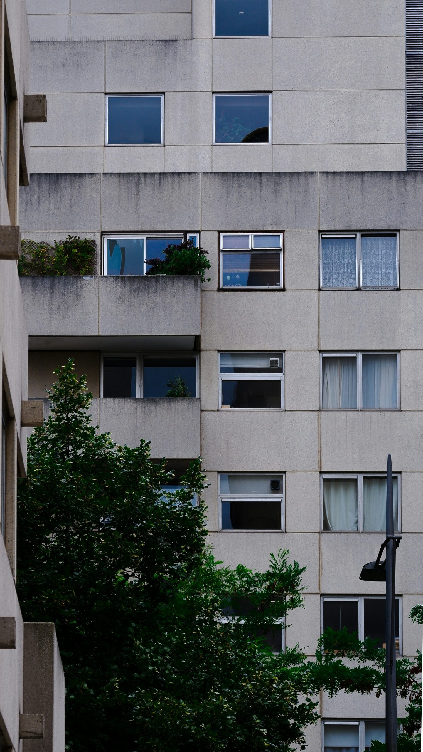 Private Rents to Rise 20% in 5 Years